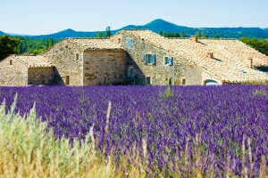 tour in provence